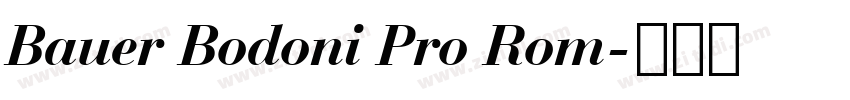 Bauer Bodoni Pro Rom字体转换